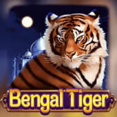 Bengal Tiger